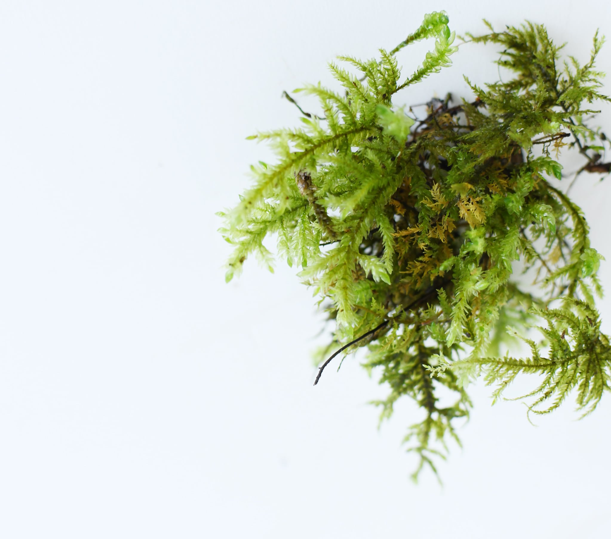 f6fd36b7ed77d9be07e536f9def138