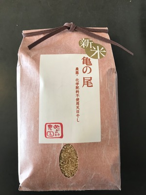 令和5年度　ぬながわ村農園　亀の尾　玄米2kg