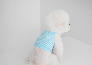 即納【THEREST OF LIFE】DAYS STRIPE CROP