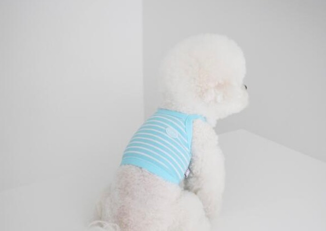 即納【THEREST OF LIFE】DAYS STRIPE CROP