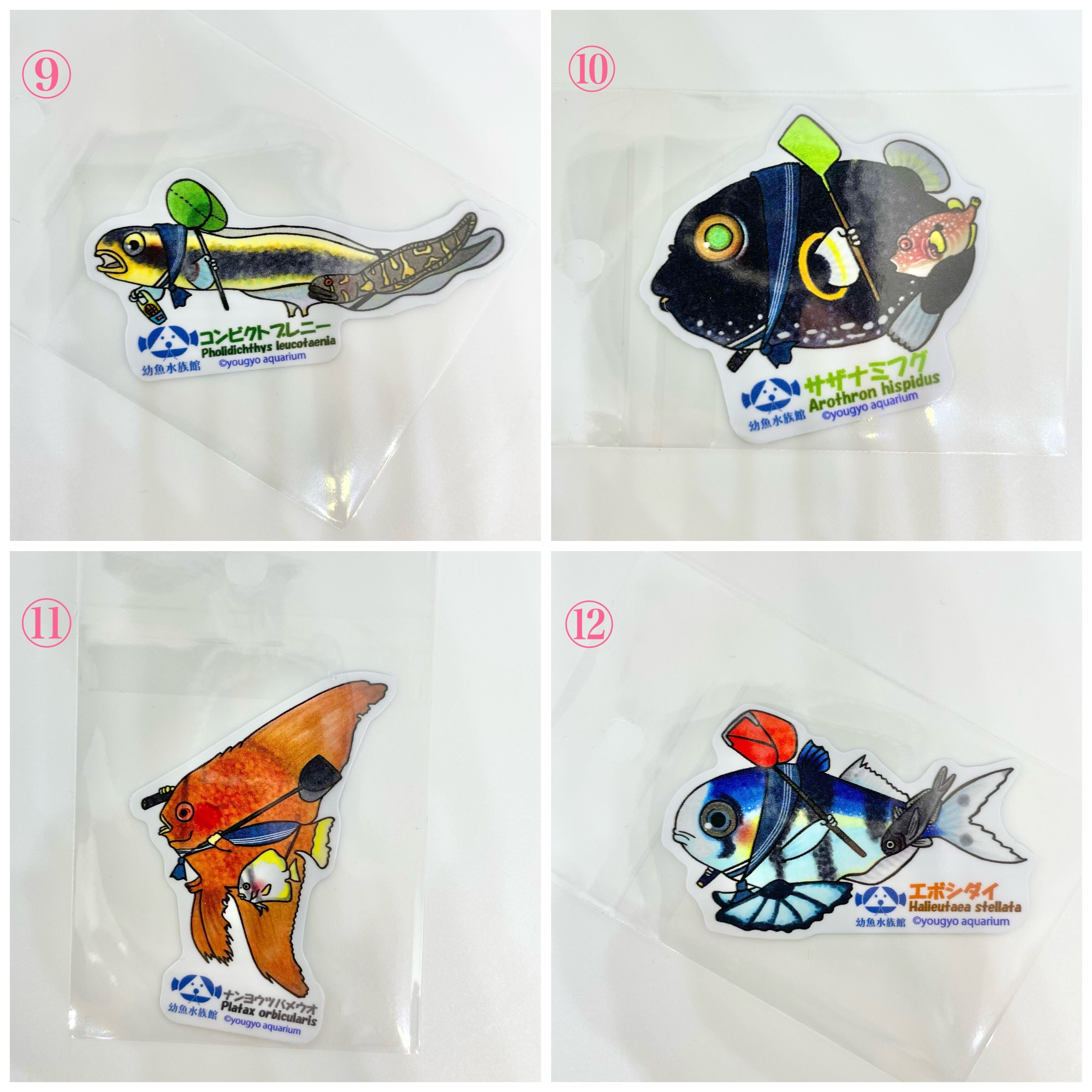 柳葉魚グッズ Shishamo シシャモ 柳葉魚 T-shirts【Tシャツ】【ティーシャツ