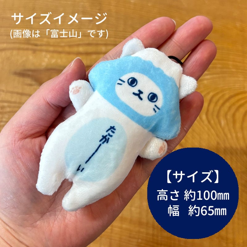 のびねこベビー 黒たま | 野澤作蔵商店 nozawasakuzo_shoten