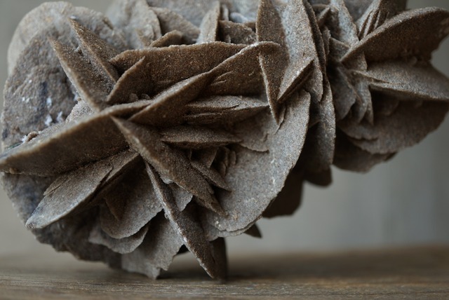 デザートローズ Desert Rose 1403