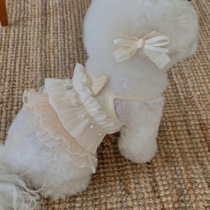 【seenii】SoonSu ops