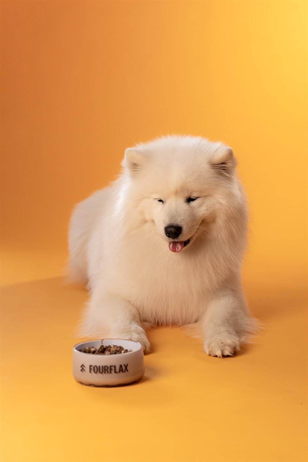 K9 Natural FOURFLAX (フォーフラックス) ニュージーランド・グリーン