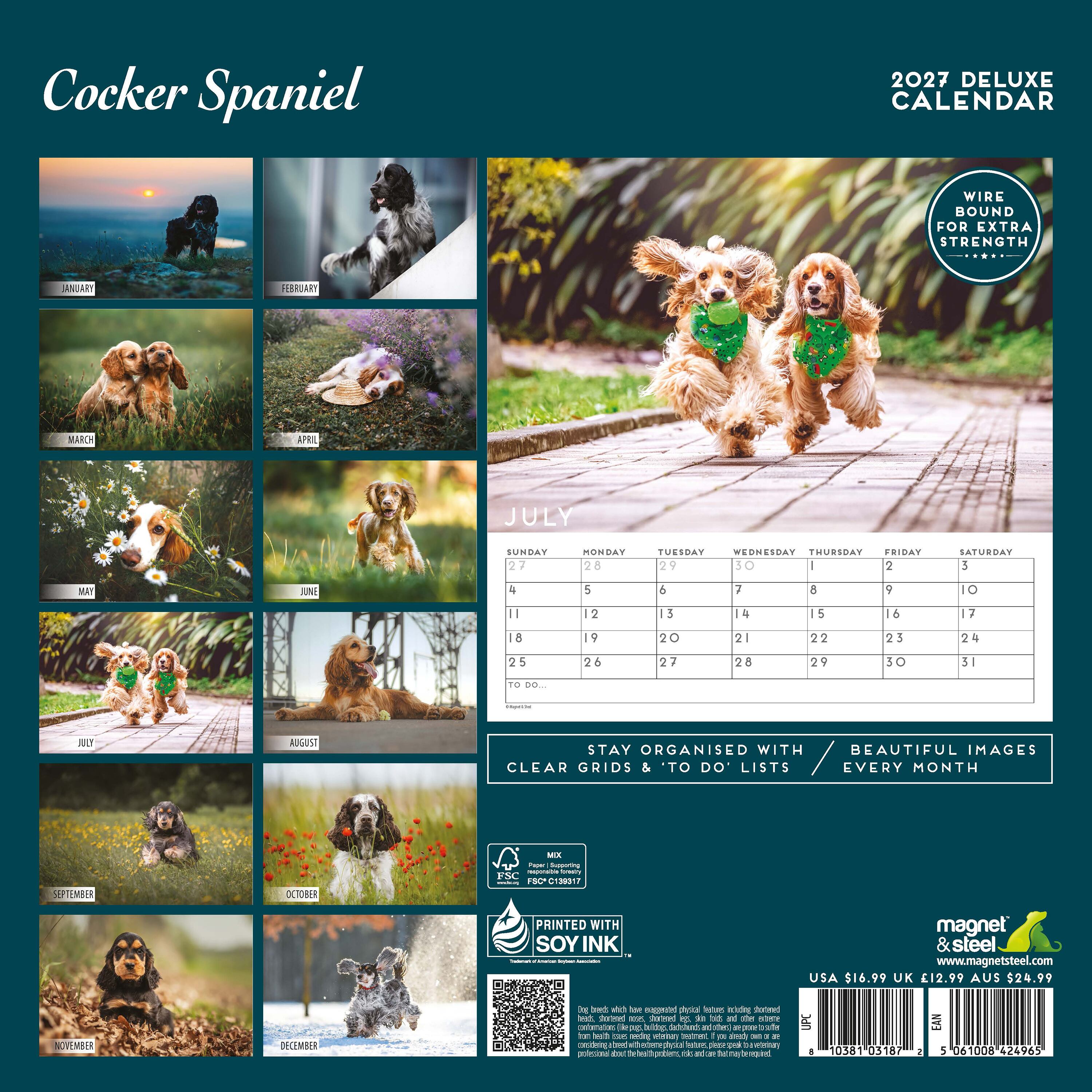 【2027年版】英国製犬種カレンダー【コッカースパニエル】 DELUXE 2027年版