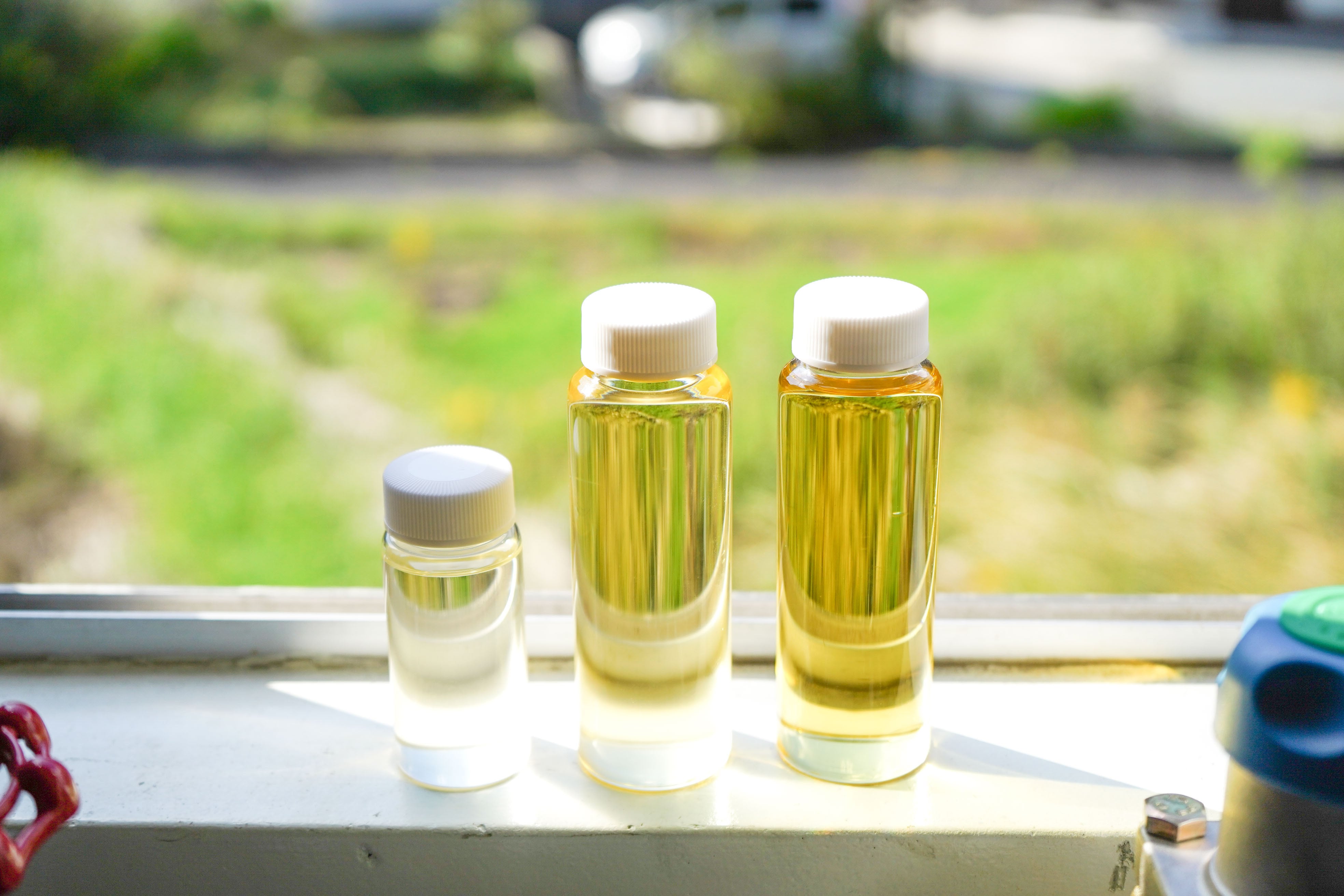 SANBE Botanicals〈セイタカアワダチソウ〉アロマオイル（5ml 1本