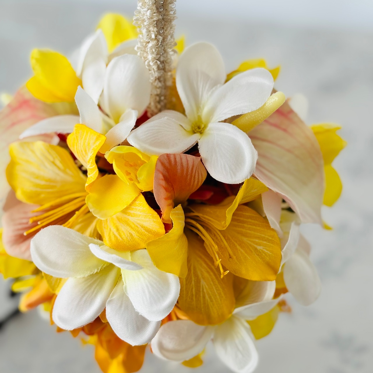 トロピカルムーン | Tropic Moon