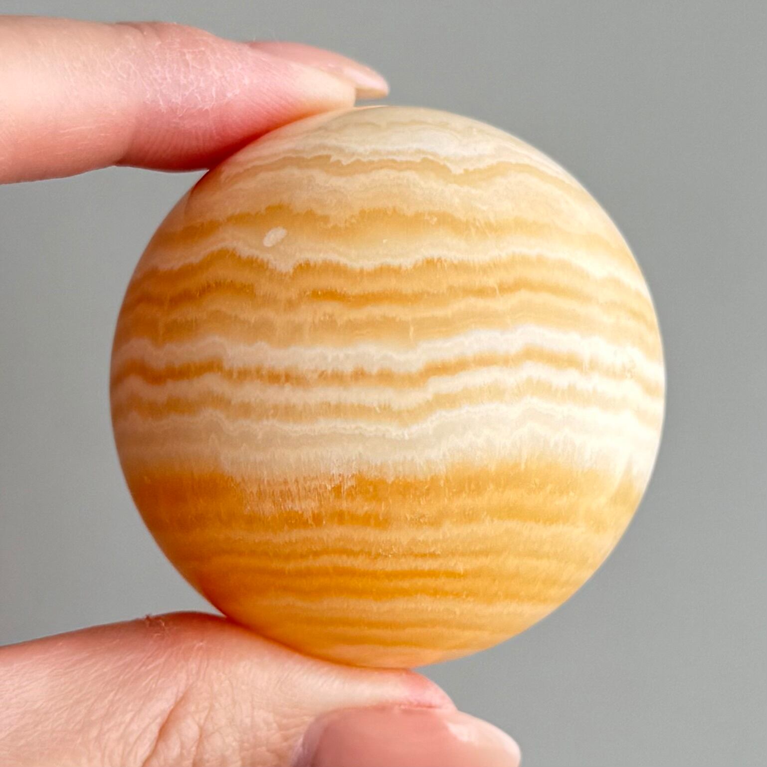 フローライト・亀 | Artemis