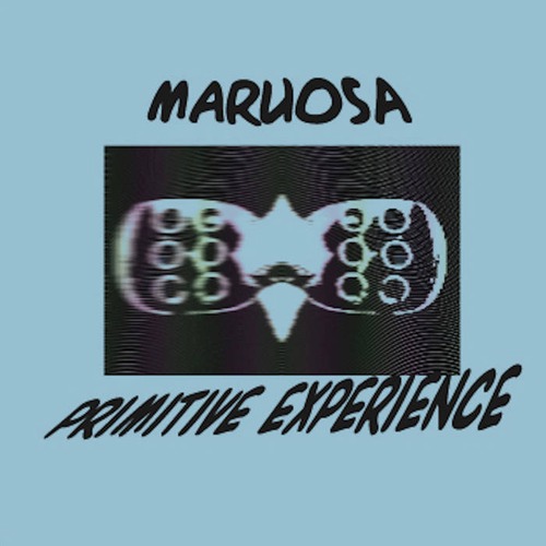 PRIMITIVE EXPERIENCE (Digital)