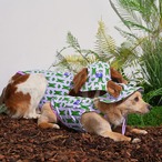 【PUPPYGALLERY公式】Bouncing Bear Tank Top　M