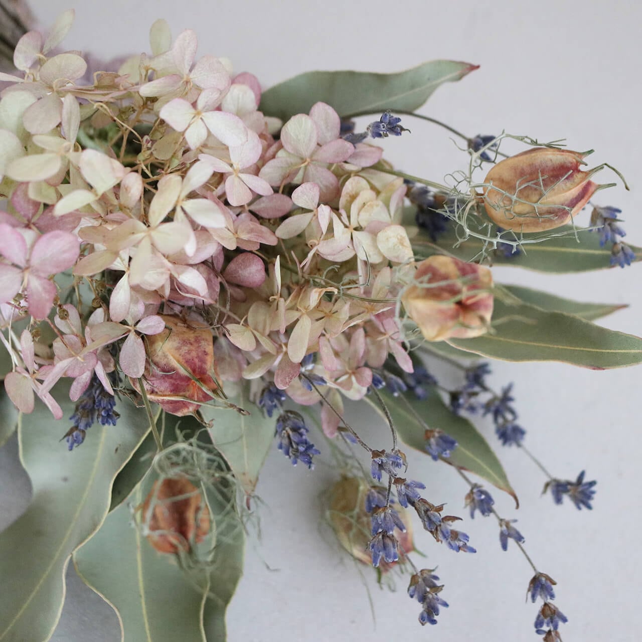 1.ミナヅキスワッグ