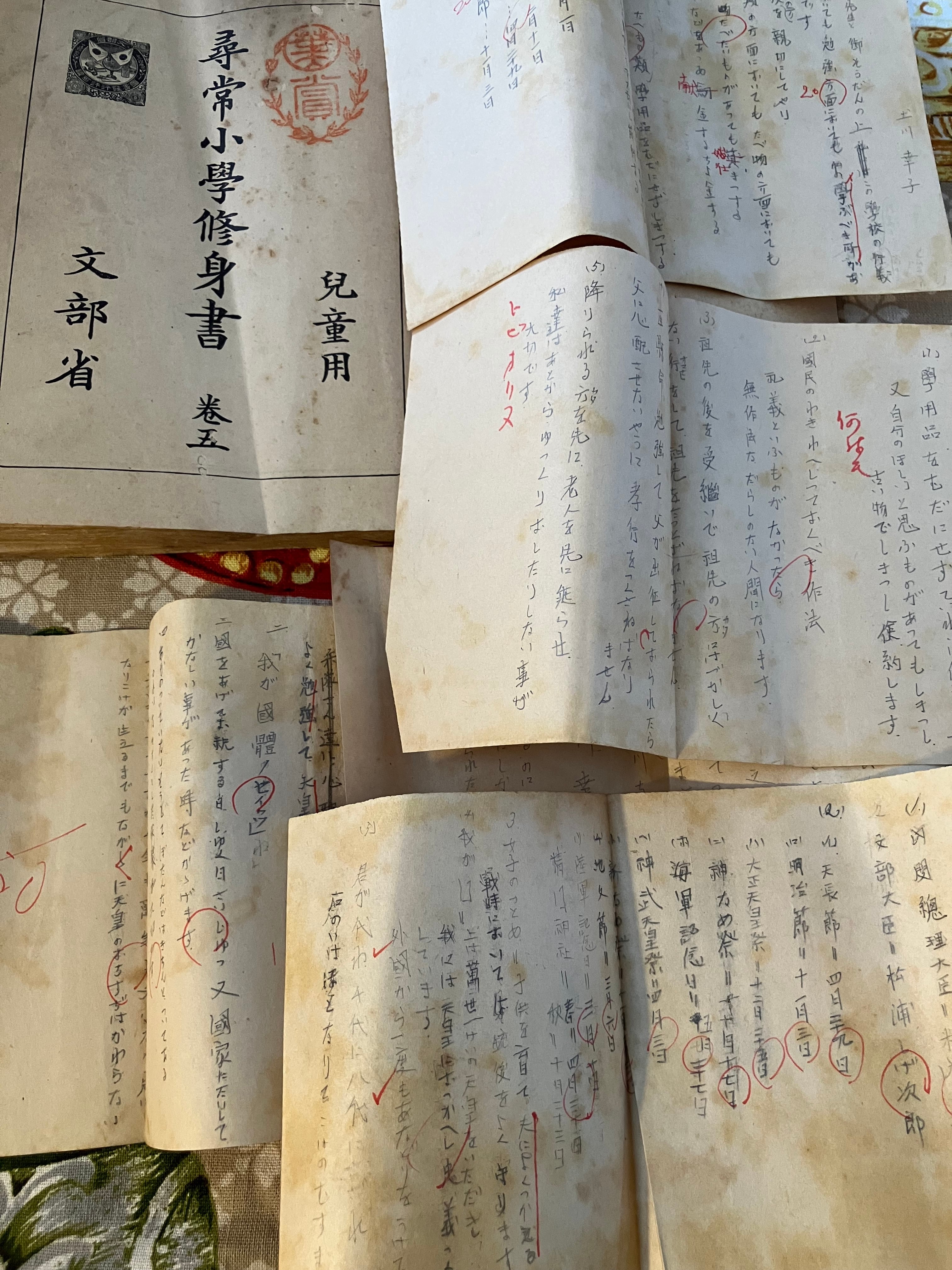 実用外百貨店 レトロ珍品 モラトリアム