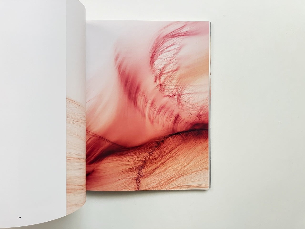 ヴォルフガング・ティルマンス Wolfgang Tillmans（Contemporary