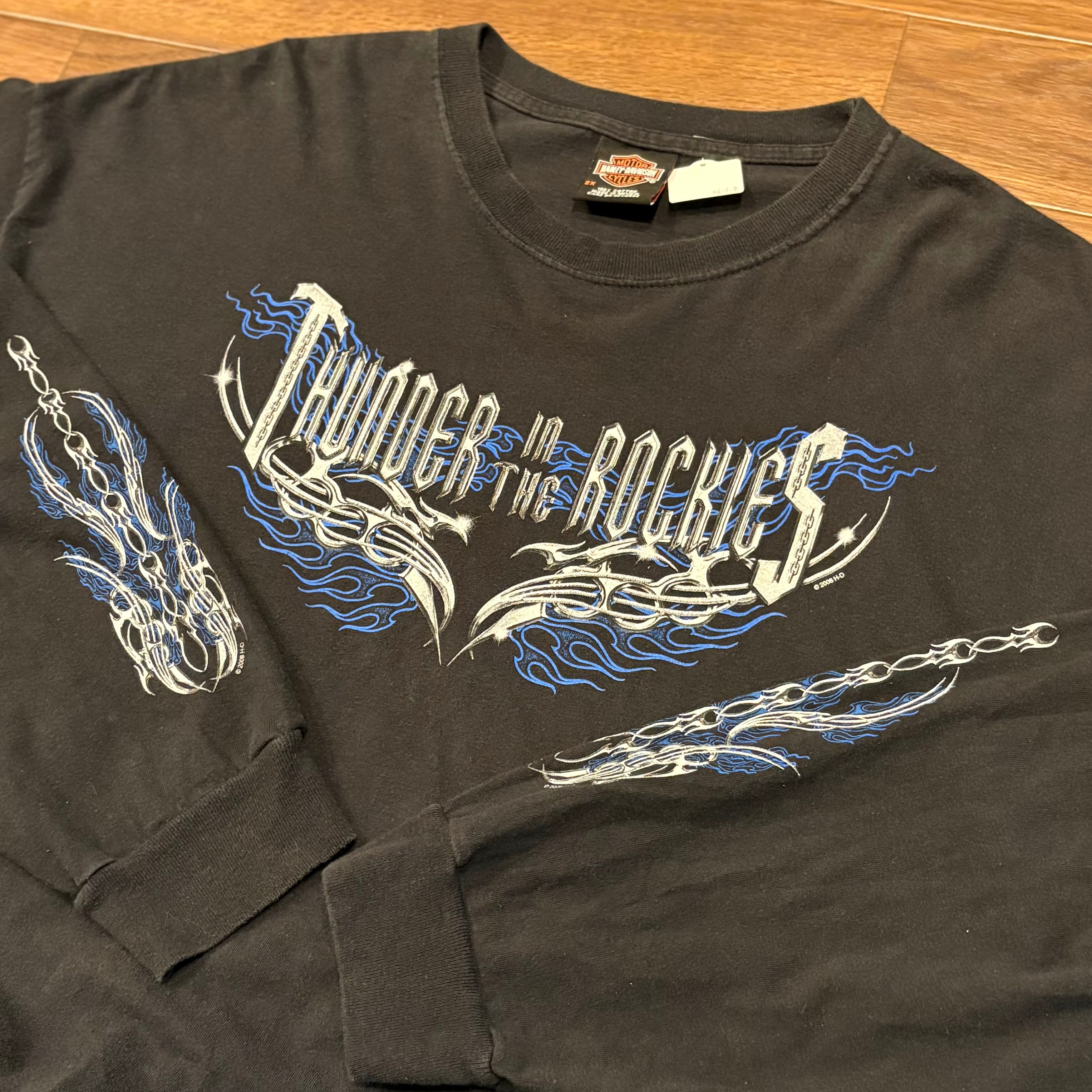 青フレイム2XL!!】00's Harley-Davidson L/S Tee | 下北沢SPiKe＆SPiCe