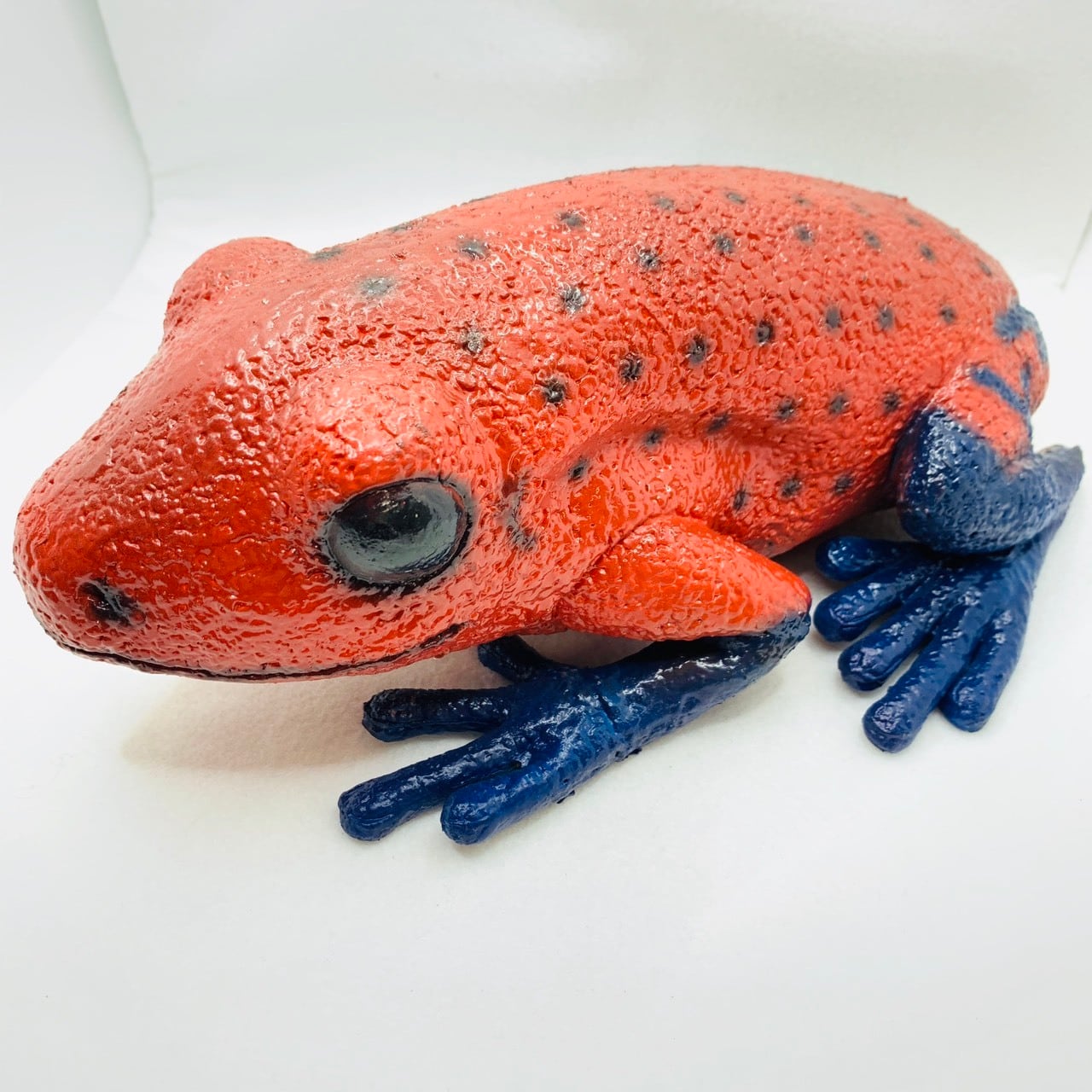 イチゴヤドクガエル　ブルージーン　３匹セット① イチゴヤドクガエル ブルージーン 3匹セット①