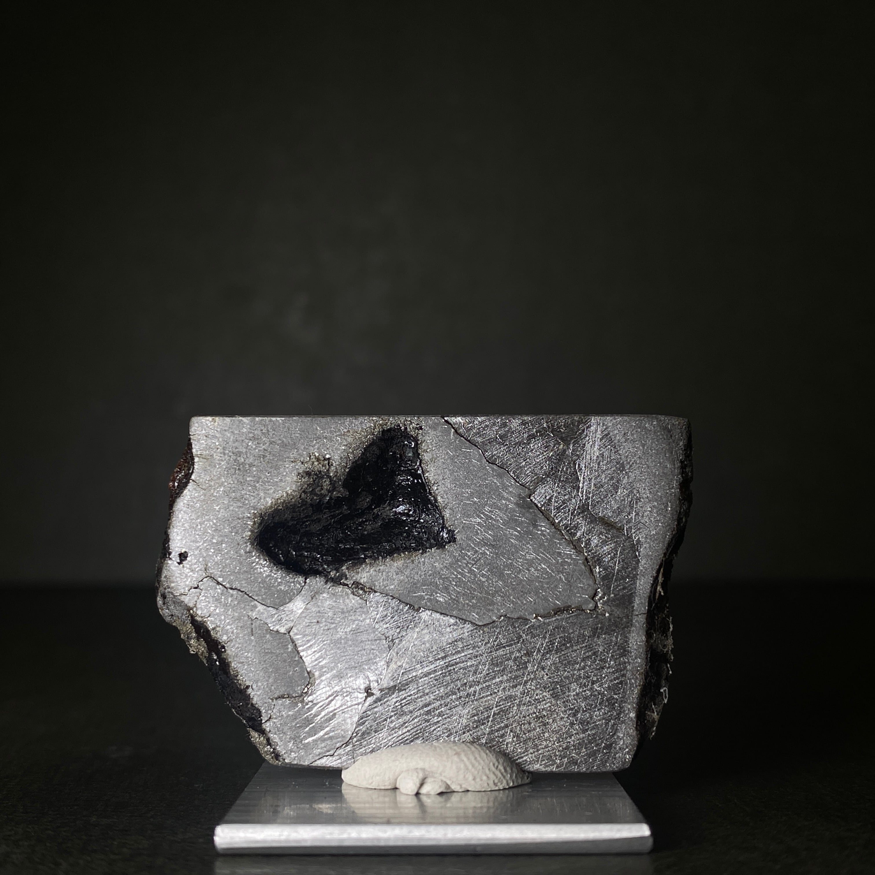 大型】シホーテアリン隕石HG Shikhote Alin Meteorite 26100209