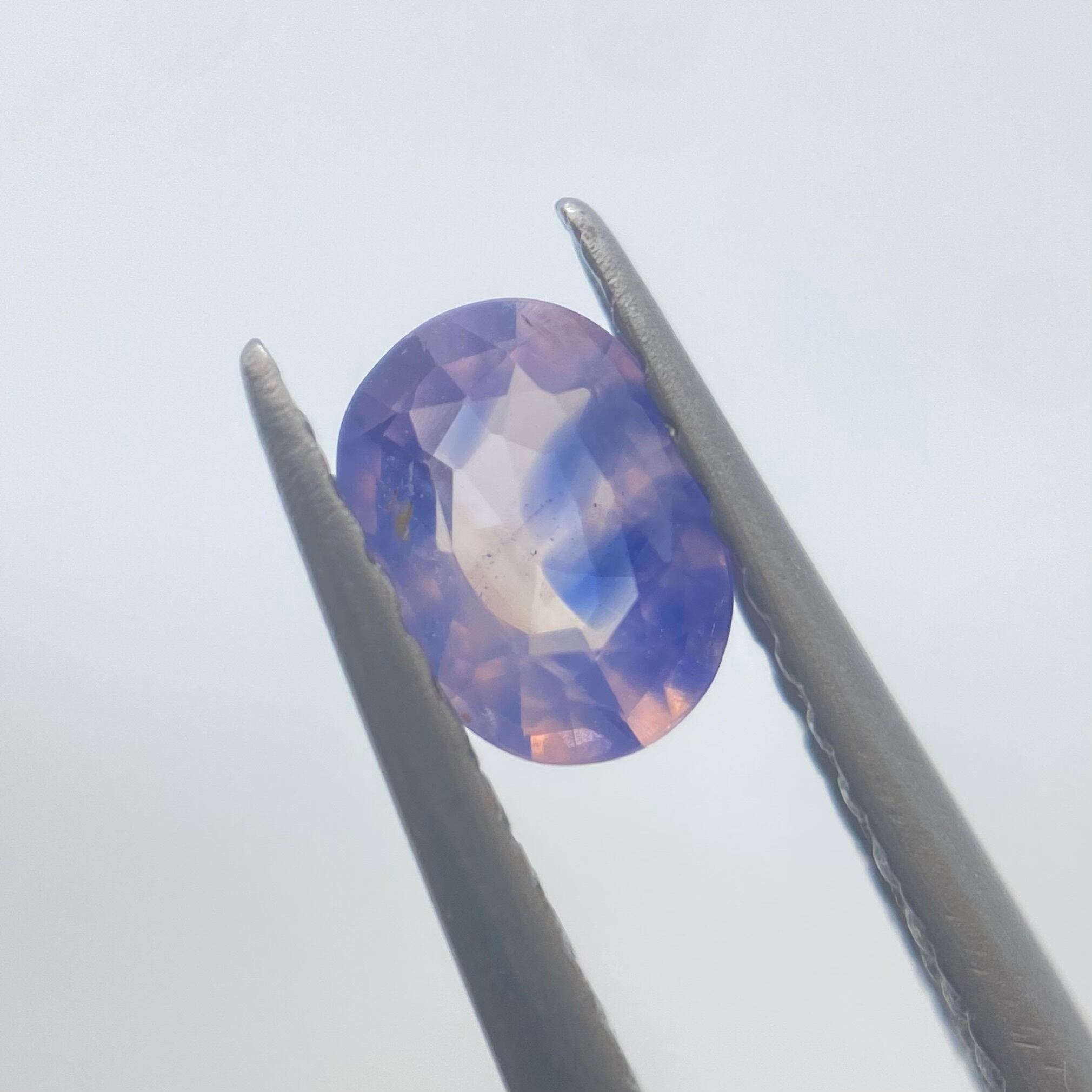 夕焼け　シルキーサファイア