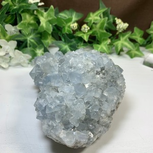 6.空色セレスタイトに住み着いているフローライトハリネズミさん