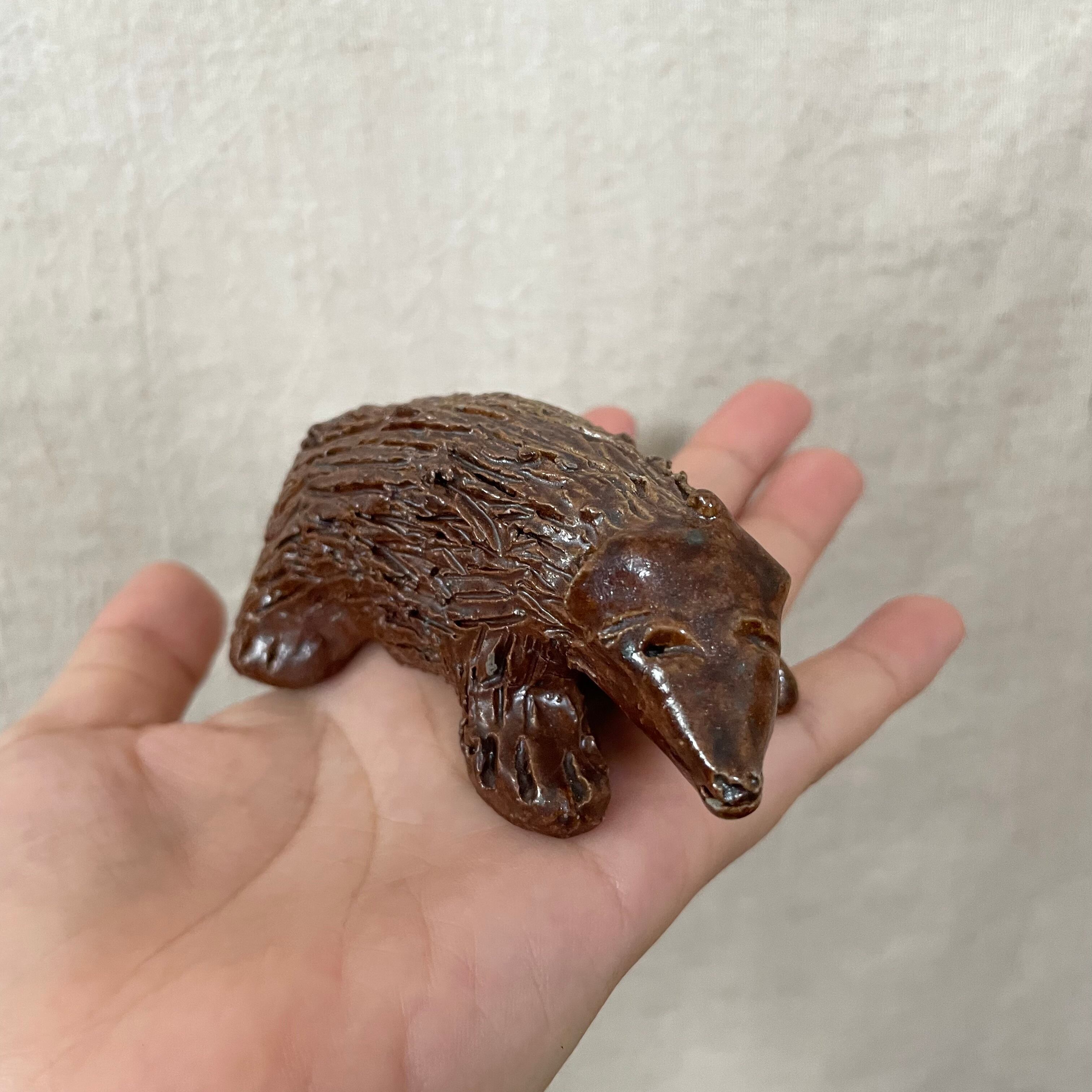 不思議ないきもの