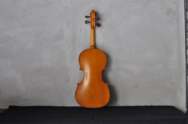 violin