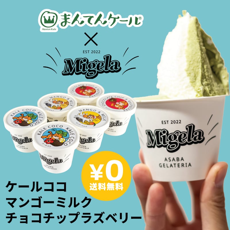 ジェラート 送料無料 ケール ココ マンゴーミルク チョコチップ