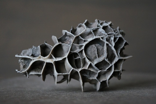 湖南省産亀甲石 1107