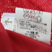 社交ダンス 衣装 スタンダード スカート レッスンウェア レディース Sekin レッスンウェア レッド系 赤 練習着 キラキラ タンゴ スカート モダン スカート ベリーダンス風 フレアスカート 揺れる ステージ衣装 ダンス 衣装 練習用 ダンスレッスン フィギュアスケートではない きらきら ラメ調 光る 光沢 ふんわり シフォン風 ポリエステル製 ファスナー仕様