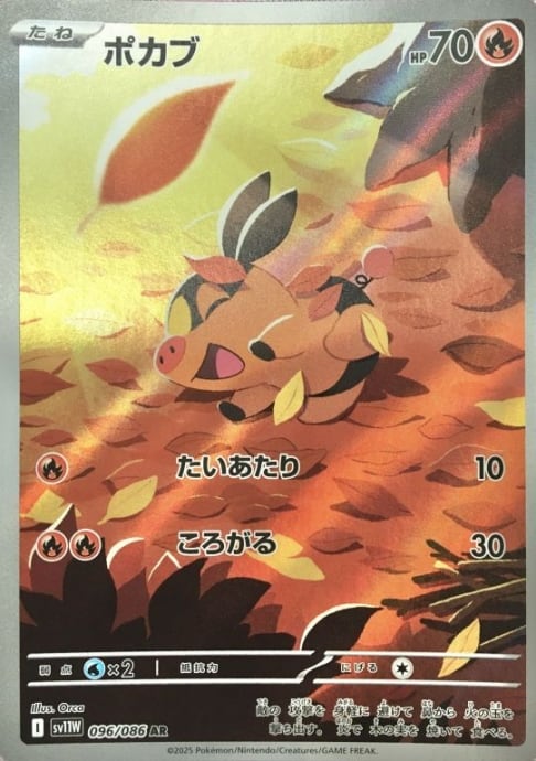 【美品】ポカブ(AR)