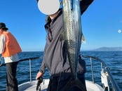 マリン・パイプクッション 150cm