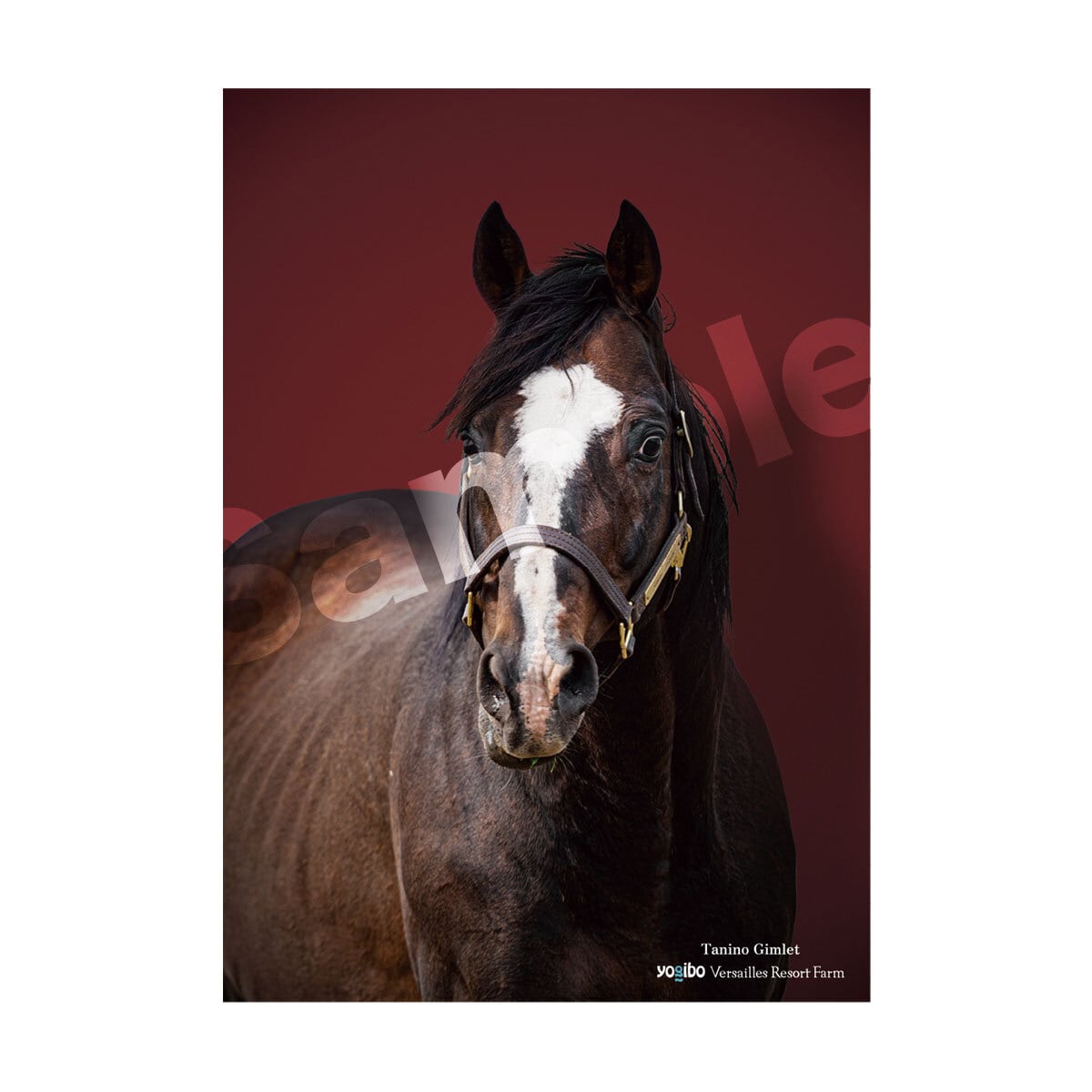 ヴェルサイユリゾートファームショップ