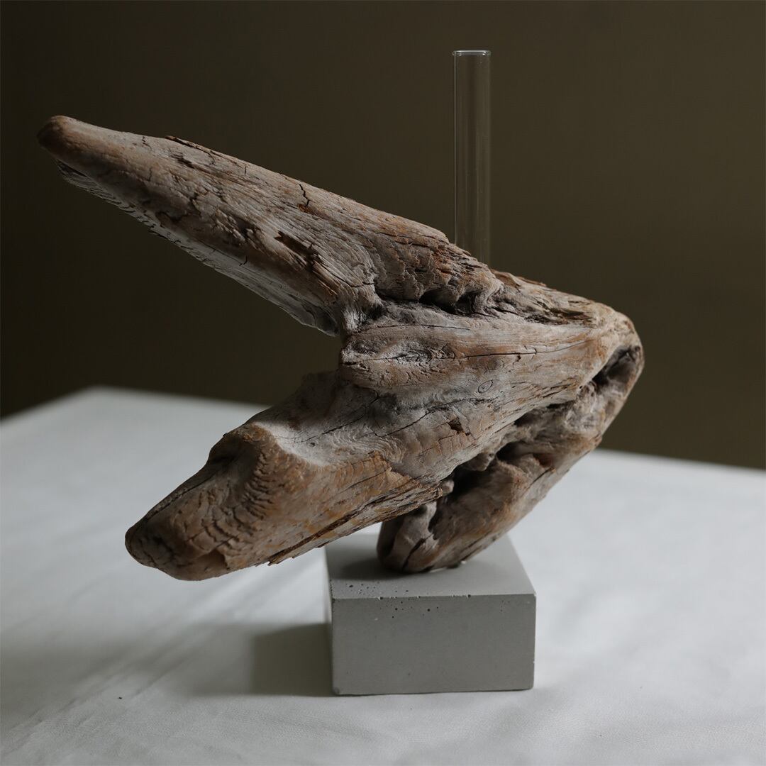 saisei (再生) driftwood flower vase cement 無塗装 | FREEPARK