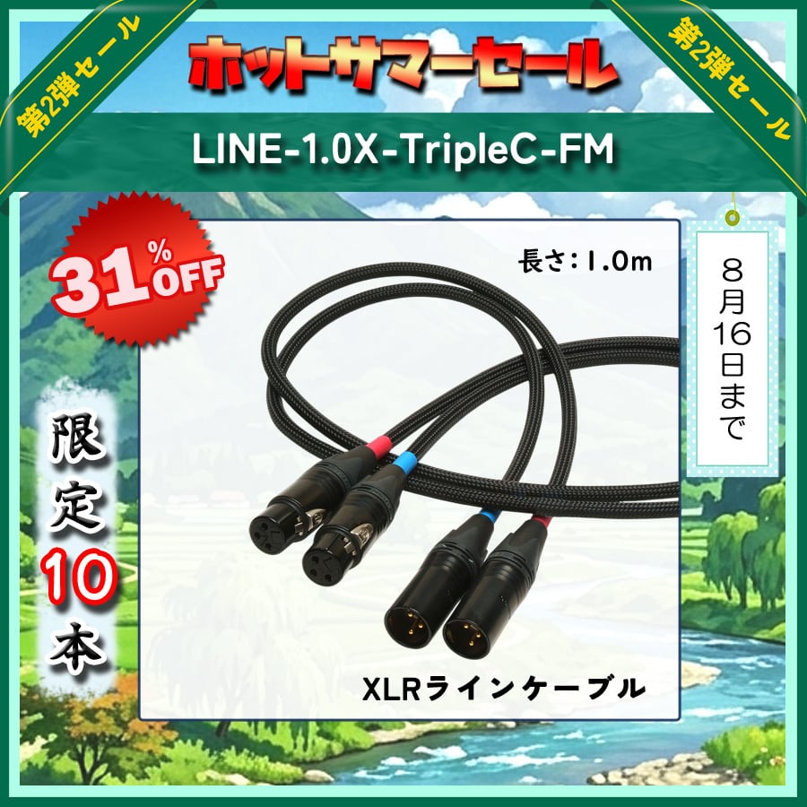 極☆自宅試聴EC