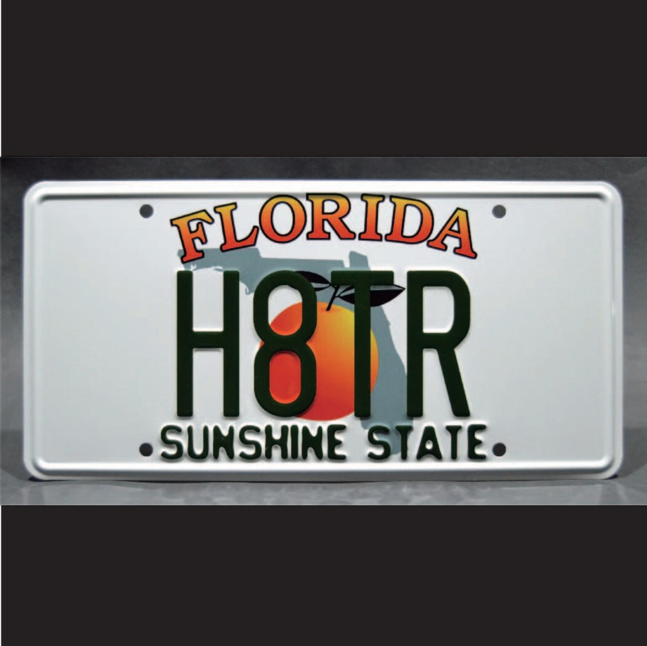 (H8TR ) ローマン・ピアース エクリプス・スパイダー ナンバープレート フロリダ州