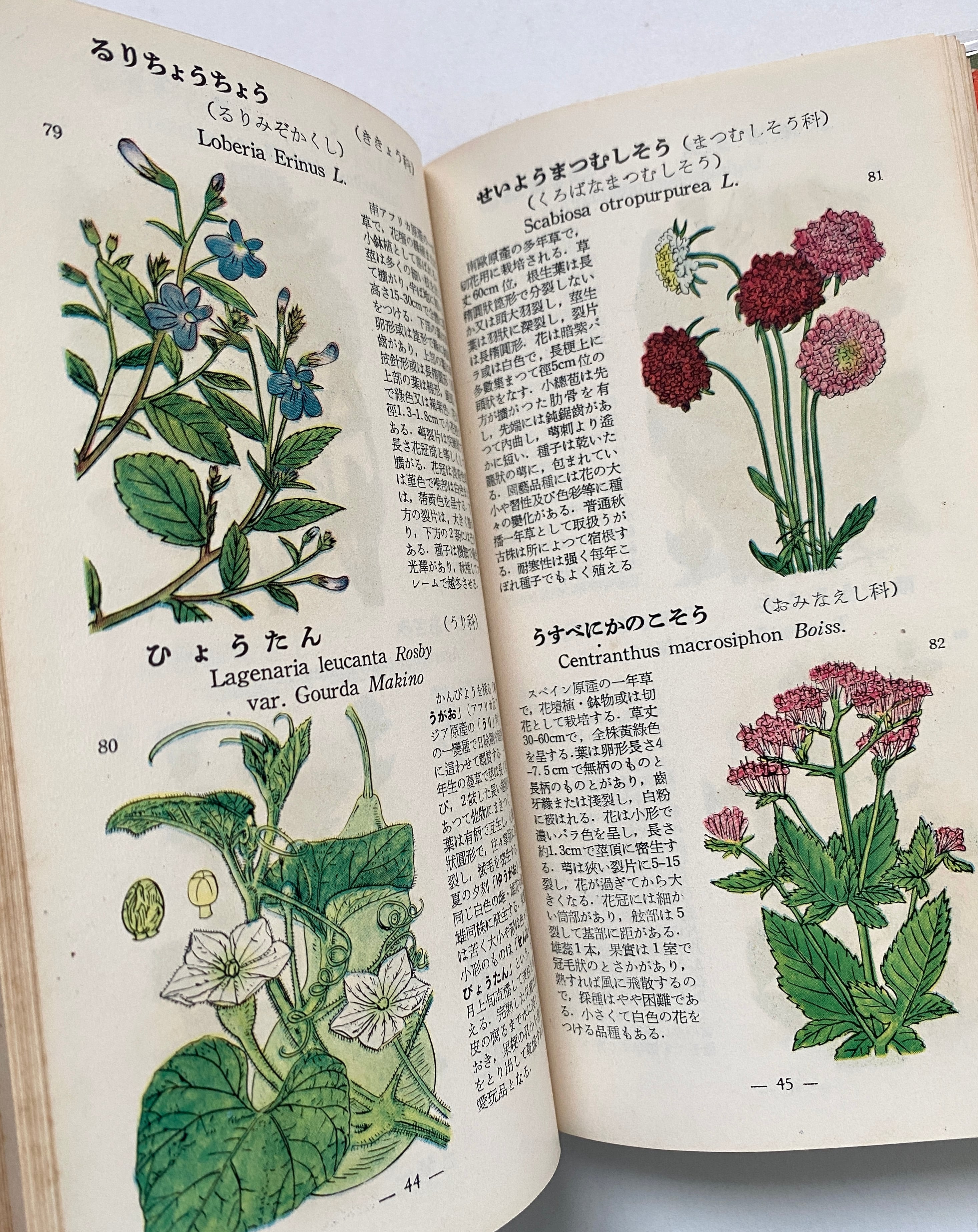 激安特価品 原色牧野植物大図鑑 続編 全2冊セット 牧野富太郎 北隆館 ...