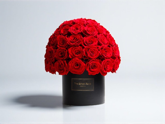 マッシュローズ（赤）