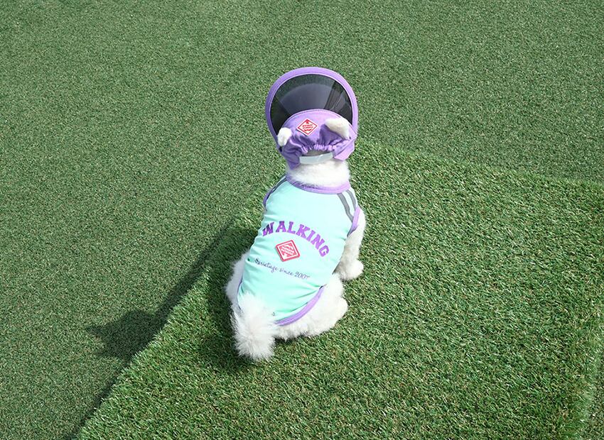 outdoor walking cool top set S ~ 2XL 2color  /  犬服 夏 新作 冷感 トップス タンクトップ 可愛い 犬の服 ドッグウェア サンバイザー 暑さ対策 ワンコ服 UV対策 小型犬 中型犬 猫 top142