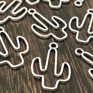 【2個】サボテンフレームチャーム