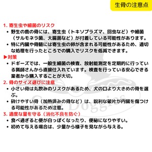 鹿の生骨　骨盤