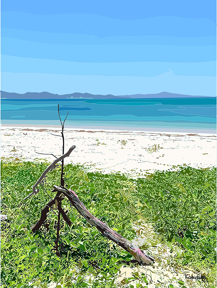 ◎01-066_nago-coast(komusuke graphic)