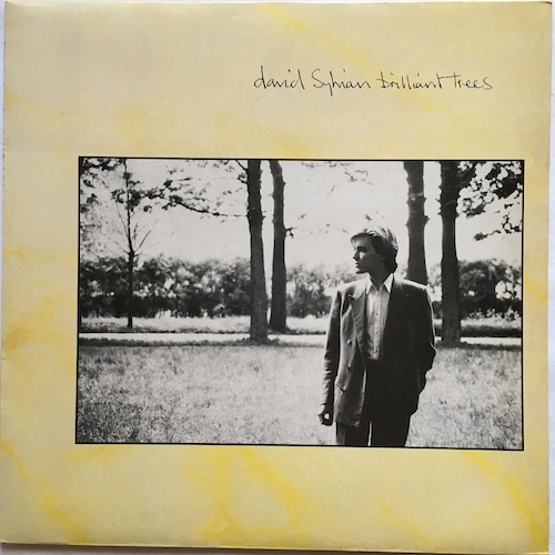 【LP】David Sylvian – Brilliant Trees