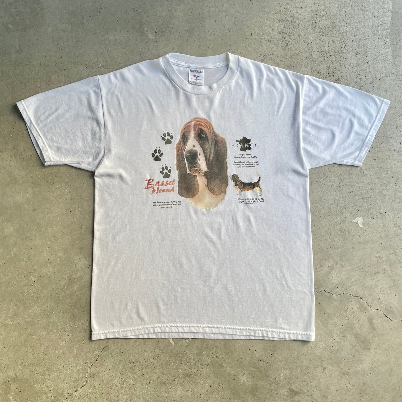 00年代 バセット・ハウンド アニマル イヌ アート プリントTシャツ 
