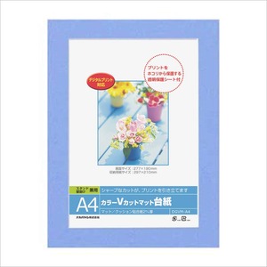 【在庫処分】ナカバヤシ A4判 カラーVカットマット台紙 ブルー DGVMーA4ーB