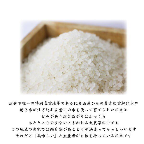 近江米コシヒカリ　令和３　米/穀物