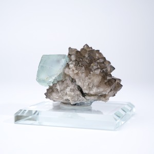 シャンファーリン産 フローライト スモーキークォーツ 共生 / 原石 標本【C_1】