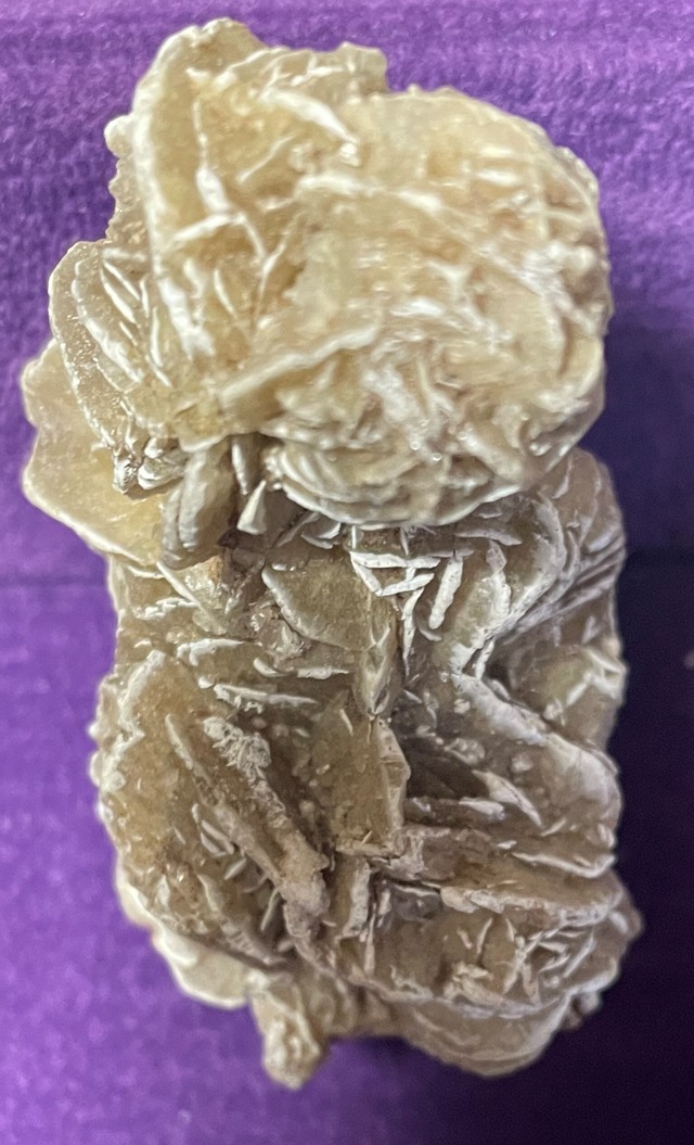 砂漠のバラ　デザートローズ