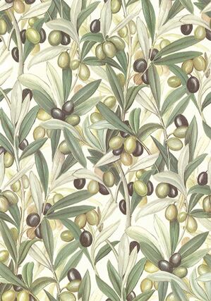 ROSSI 1931 ペーパー CRT660 約50x70cm イタリア製