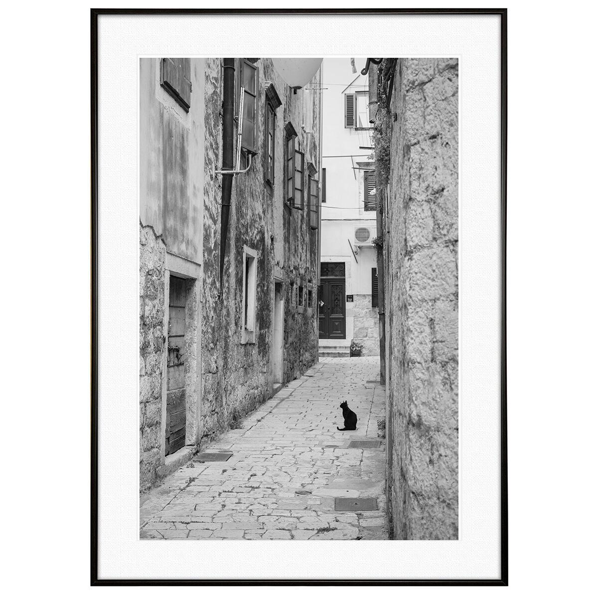 動物写真 街中の猫 インテリア モノクロアートポスター額装 AS4607