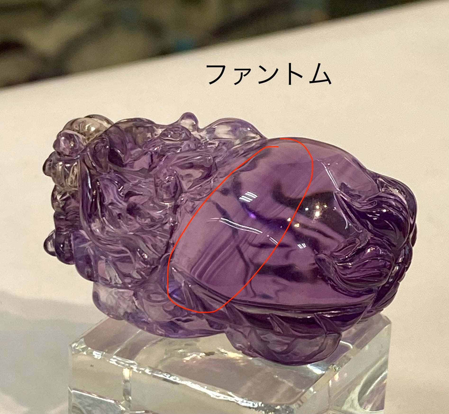 厳選 ナミビア産 宝石質アメジスト 龍亀ロングイ ファントム入り