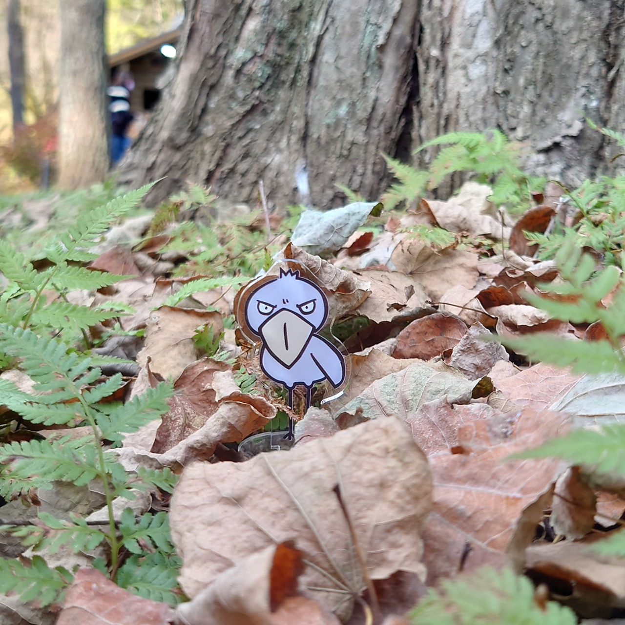 アクリルスタンド★ハシビロコウ